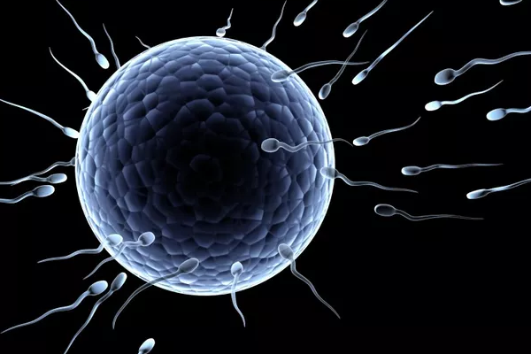 男性如何提高精子质量