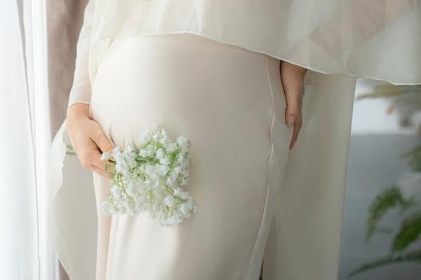 高龄父母代孕“避坑清单”